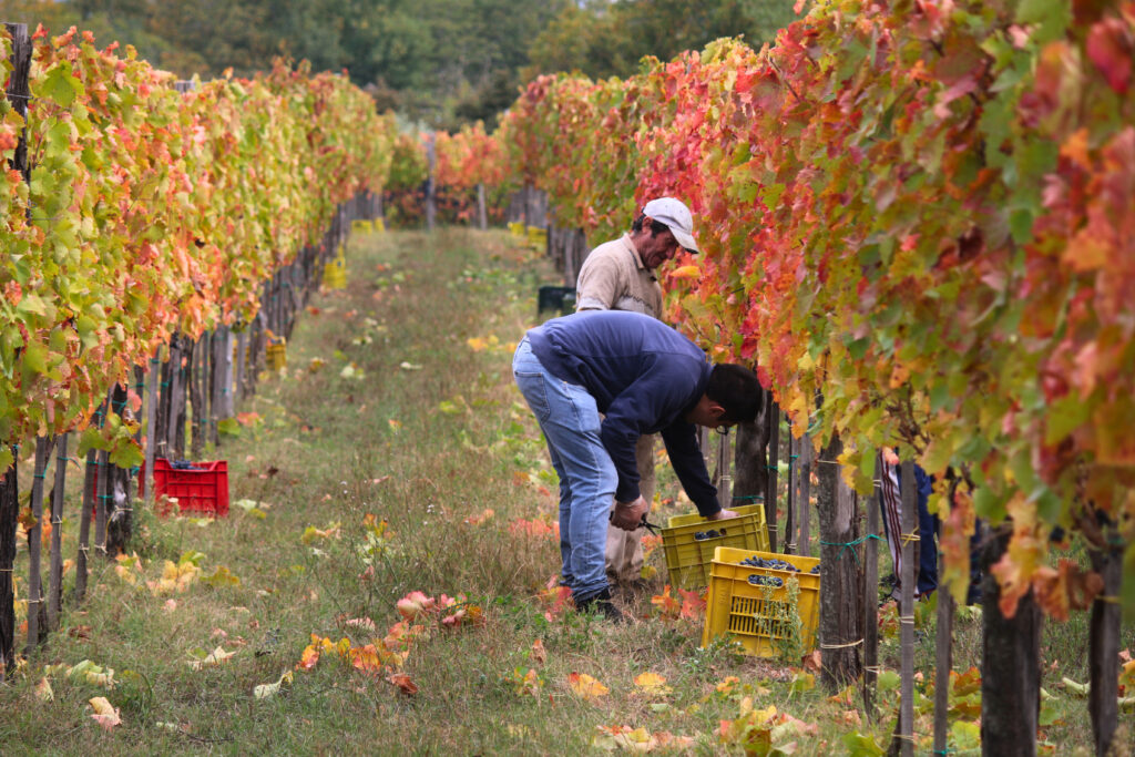 05ec2425 cde2 401a a87f 76f1961fe023