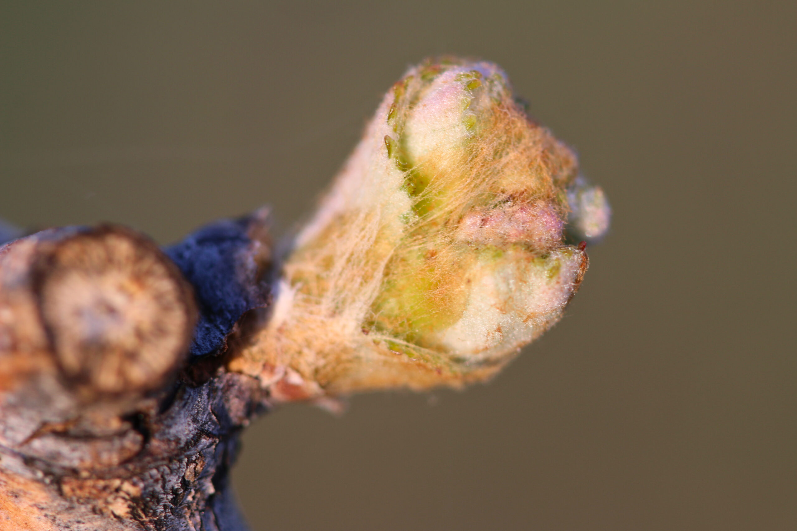 708497df 740e 459f 8b7e 5235f8ea8f9b