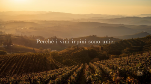 cantine novera joy rever ree