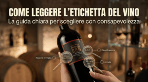 Primo piano di una mano che tiene una bottiglia di vino Cantine Novera con etichetta in evidenza e dettagli ingranditi, affiancata dal testo 'Come leggere l'etichetta del vino'.