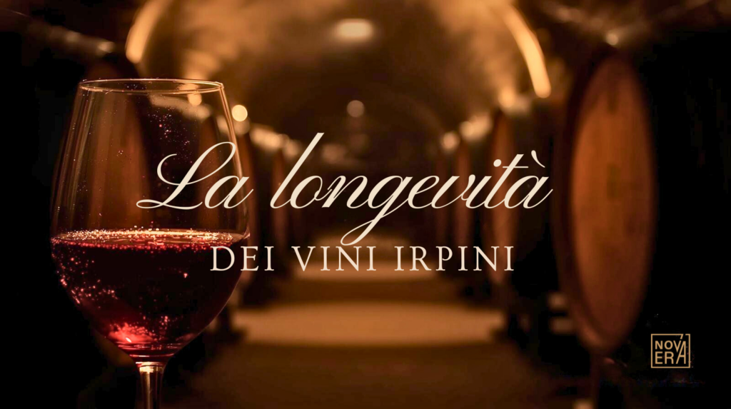 la longevità dei vini irpini