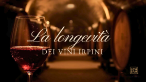 la longevità dei vini irpini