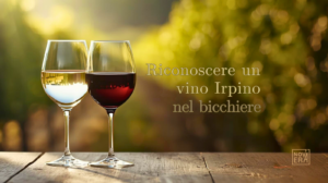 riconoscere un vino irpino nel bicchiere
